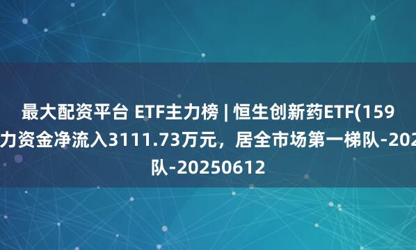 最大配资平台 ETF主力榜 | 恒生创新药ETF(159316)主力资金净流入3111.73万元，居全市场第一梯队-20250612